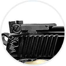 Adjustable Rear Sight